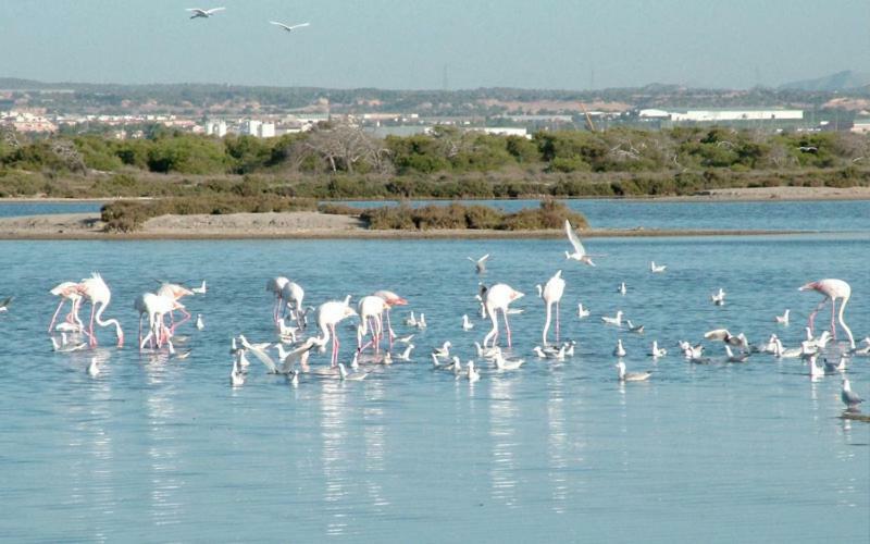 Apartamento Climatizado Con Wifi Mar Menor Lägenhet San Pedro del Pinatar Exteriör bild